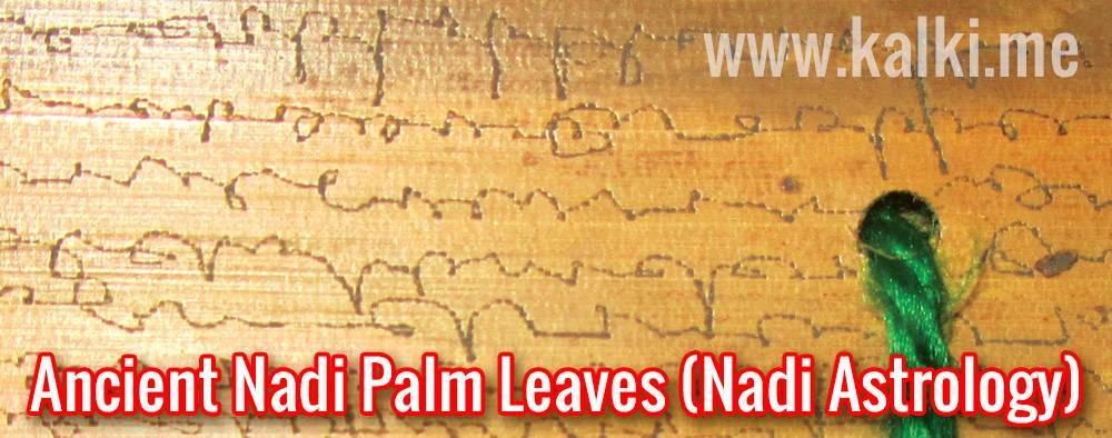 image of ancient nadi palm leaves (nadi astrology)