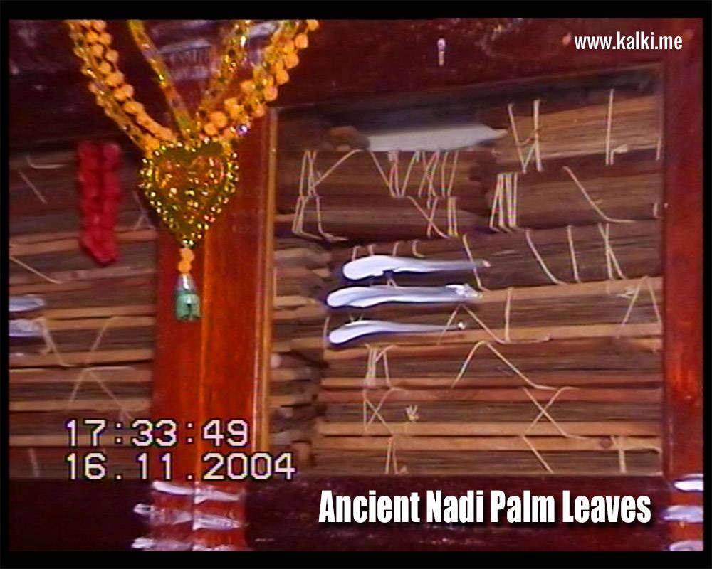 Photo of bundles nadi palm leaves