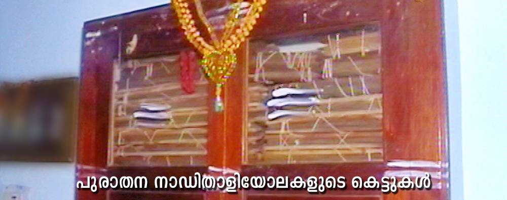 naadi thaaliyoala bundles